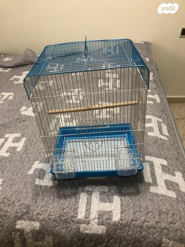 תוכי קוקוטייל