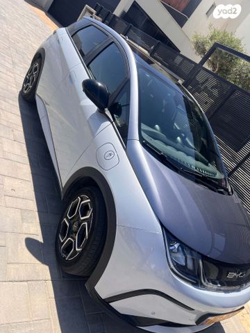 מודעת רכב בי.ווי.די דולפין