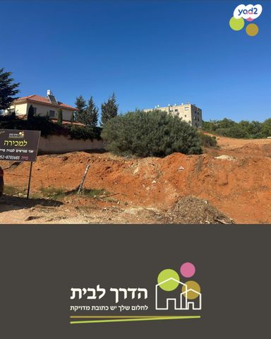 החיטה 32