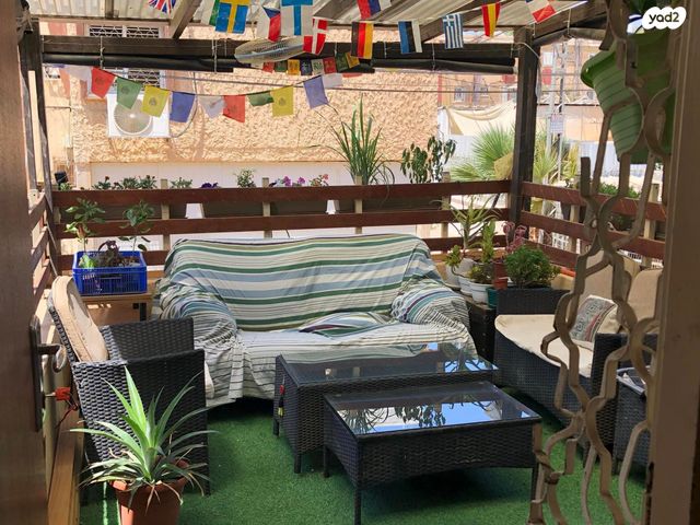 אלכסנדר ינאי 