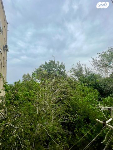 יהודה בורלא 