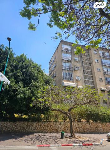 הלל יפה 14