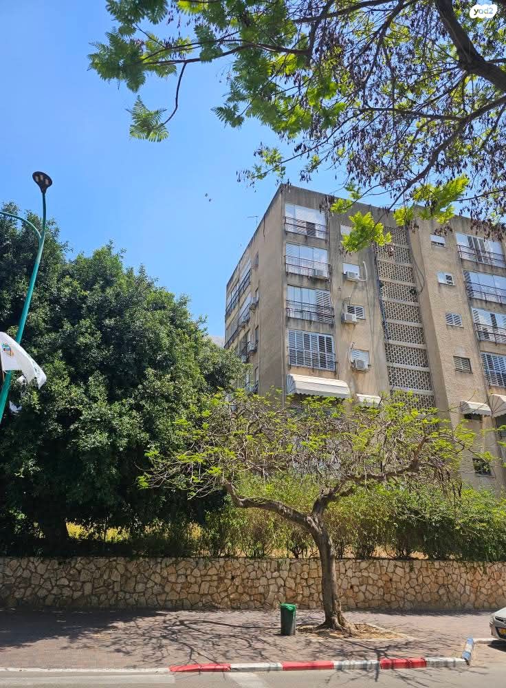 הלל יפה 14