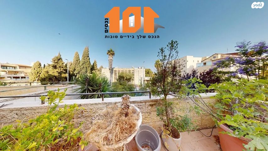 טריפלקס, לייב יפה, ירושלים