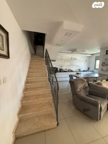 דירה, אשקלון