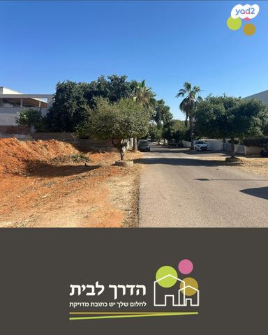 החיטה 32