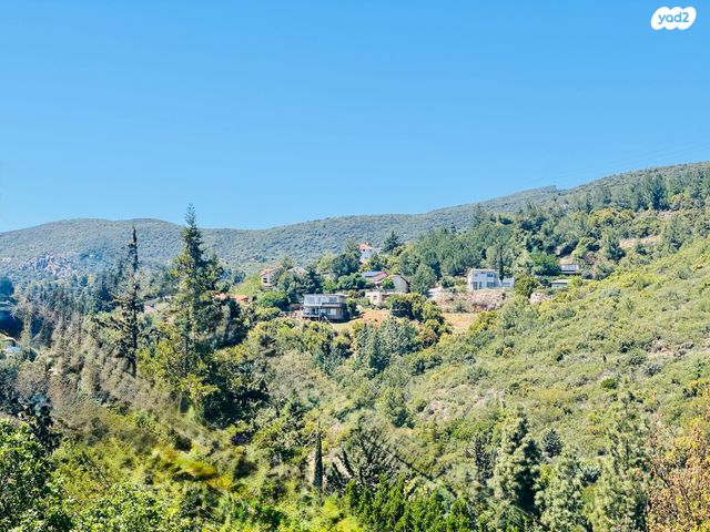 אמירים