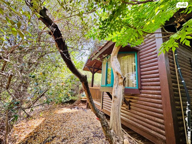 משק חקלאי/ נחלה, אמירים, אמירים