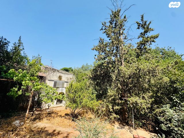 משק חקלאי/ נחלה, אמירים, אמירים