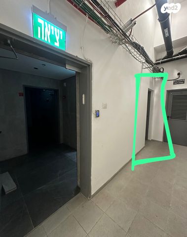 דליה רביקוביץ 8