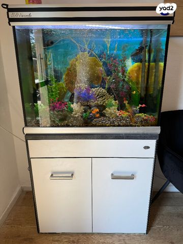 תמונת מודעה - חיות מחמד