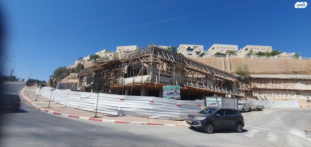 דירה, עורי צפון, אלקנה