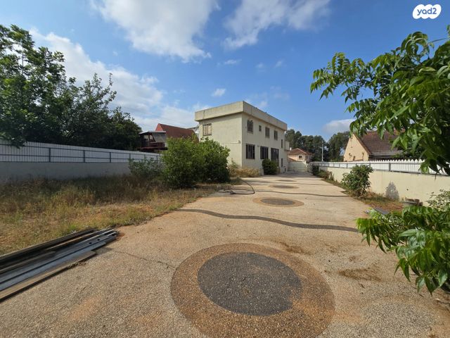 כ"ט בנובמבר 