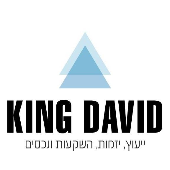 דוד פנקס 