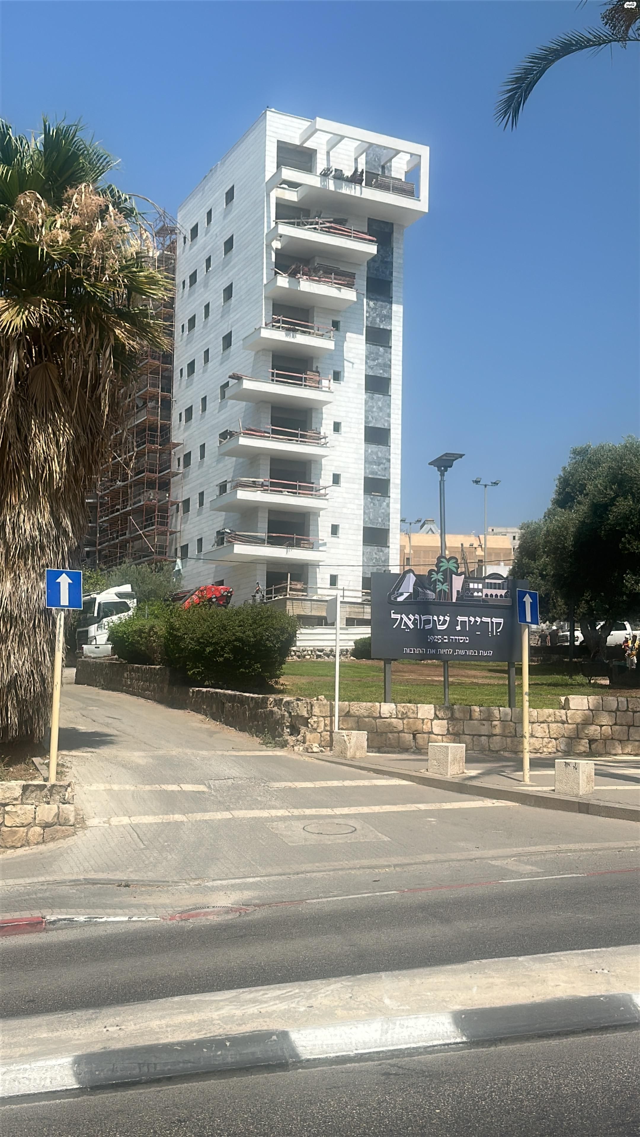 רחל 12