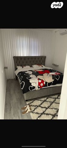 דירה, התלתן 8, צמח השדה, מעלה אדומים