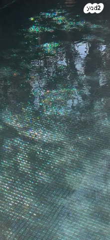 הרצליה פיתוח