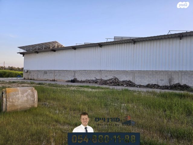 מחסנים, ברק