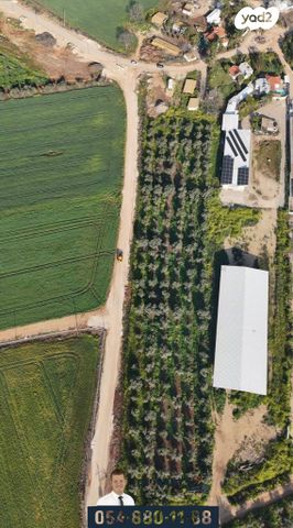 מחסנים, ברק