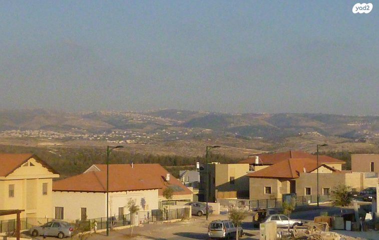 הזית 1