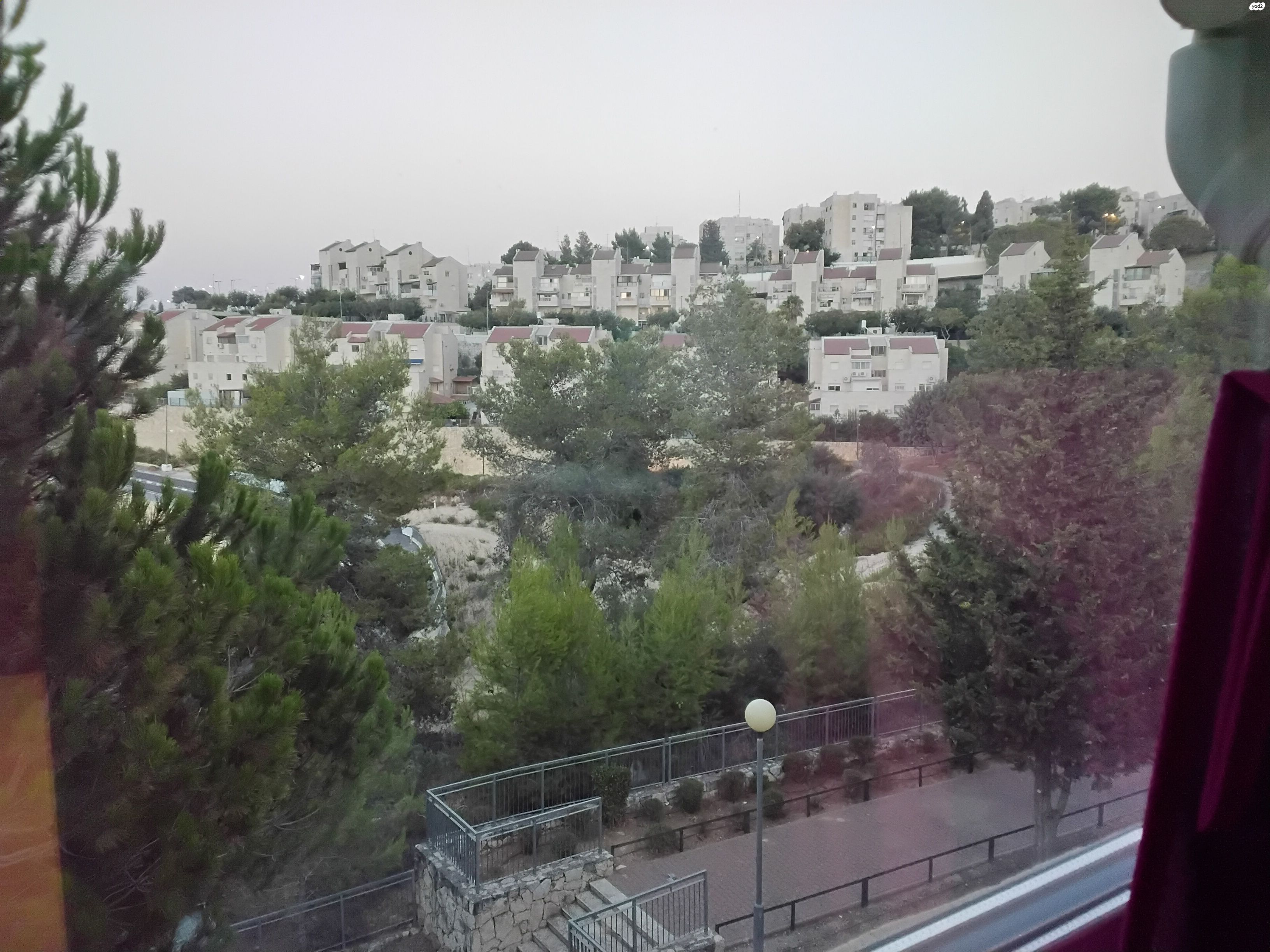 יהושע ברוכי 14