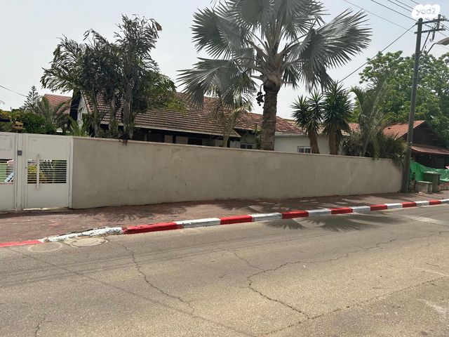 החשמונאים 14