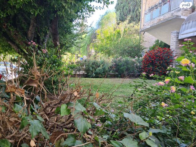 דירה, נחלאות, שערי חסד, ירושלים