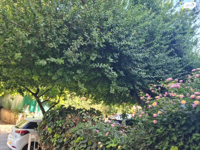 דירה, רשב"א, רחביה, ירושלים