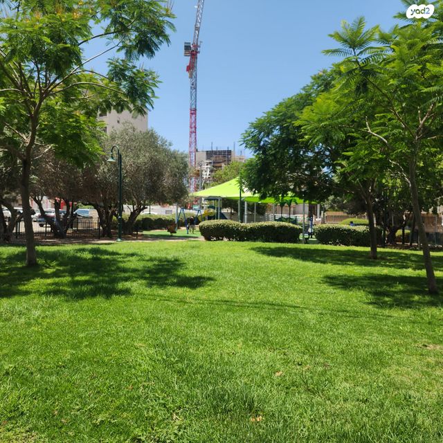 דירה, רמת צבי, זכרון יעקב