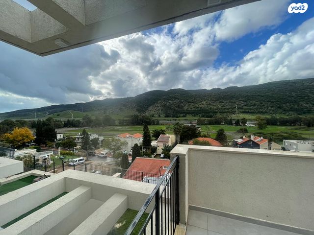 הרב צירלסון 