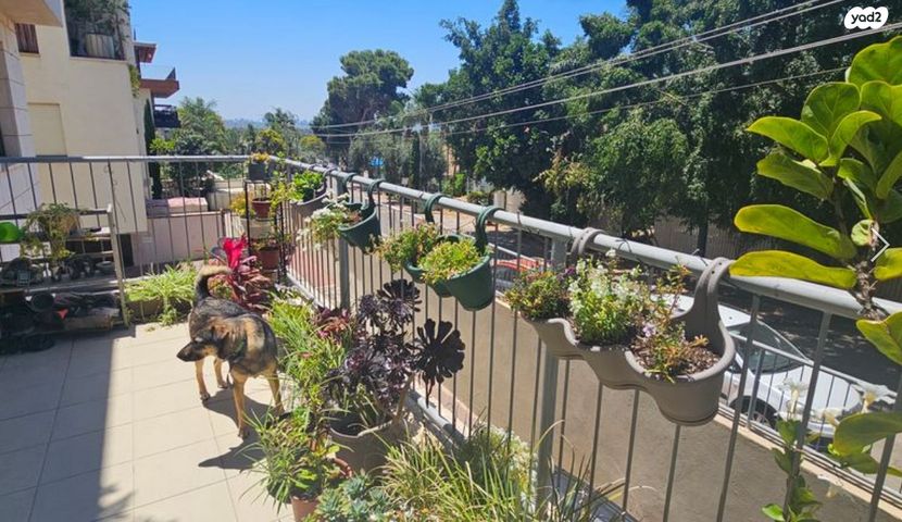 דירה, רסקו ג', הוד השרון