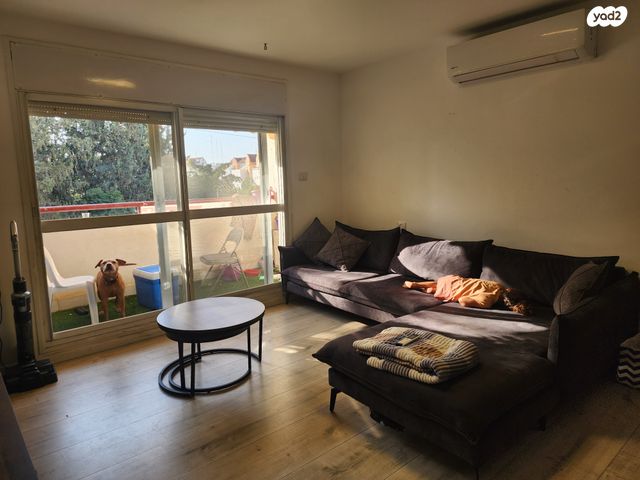 דירה, מבצע דני, נווה אפק, ראש העין