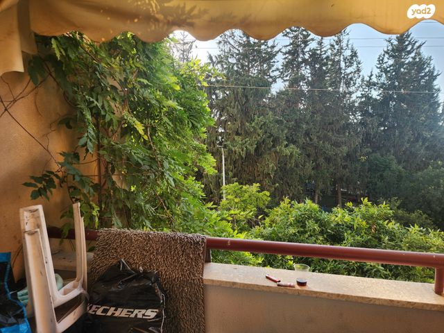 דירה, מבצע דני, נווה אפק, ראש העין