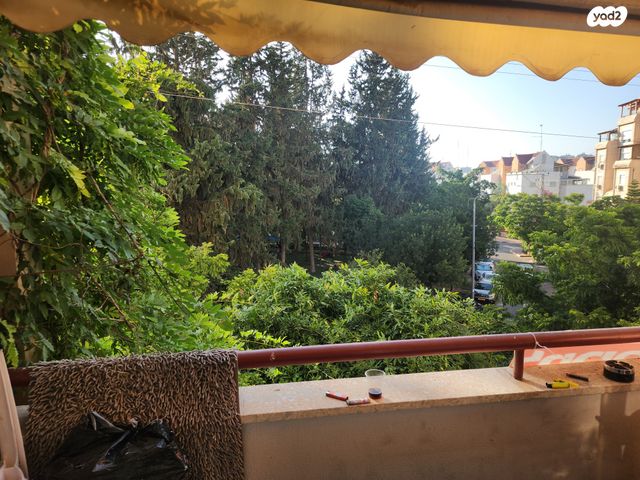 דירה, מבצע דני, נווה אפק, ראש העין