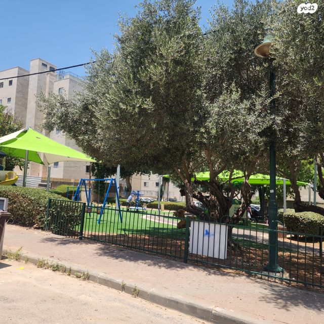 דירה, רמת צבי, זכרון יעקב