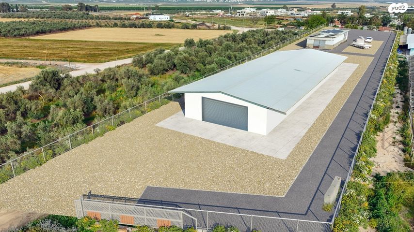 מחסנים, ברק