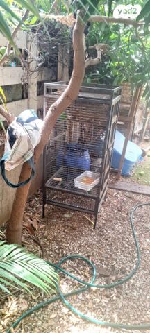 תמונת מודעה - חיות מחמד