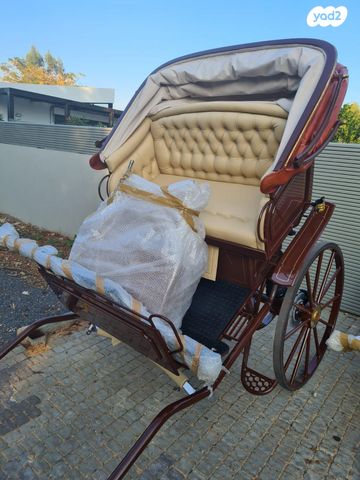 אביזרים | כרכרה