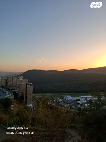 צה"ל 11