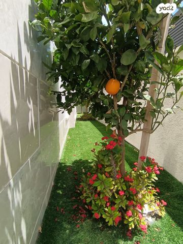 דירת גן, מבצע אנטבה, שמעון פרס/ האצטדיון, נהריה