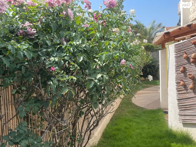 דו משפחתי, חרובים, סביוני ים, קרית ים