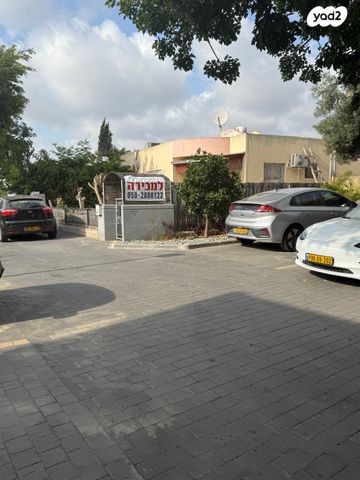 שביט 