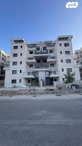 הרב קוק 