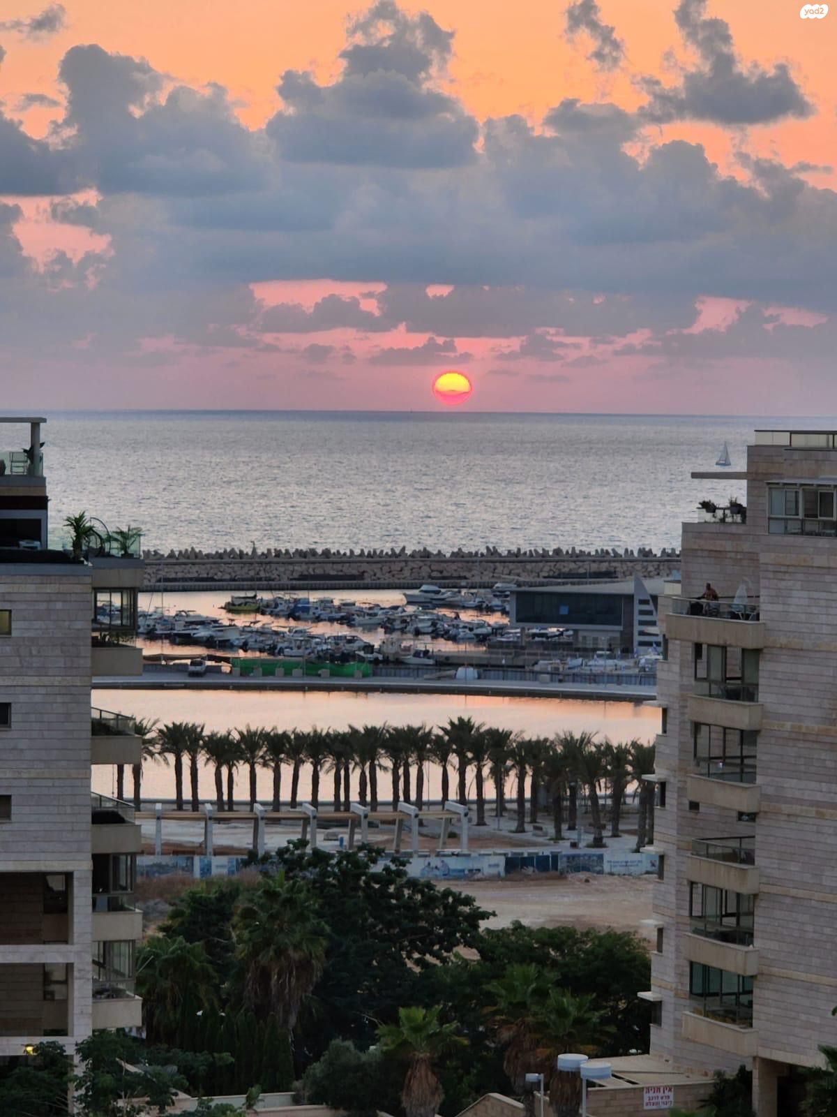אקסודוס 