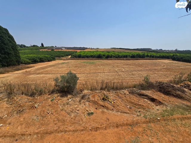 בית פרטי/ קוטג', תל מונד