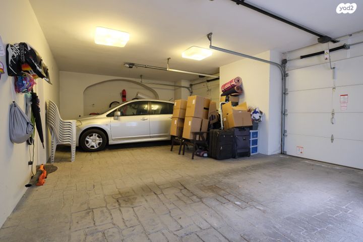 משעול הנרקיס 