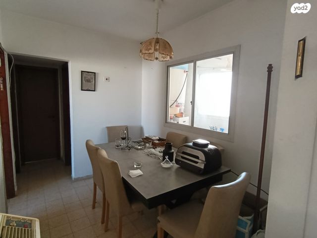 אריה דולצ'ין 