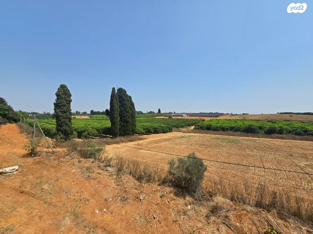 בית פרטי/ קוטג', תל מונד