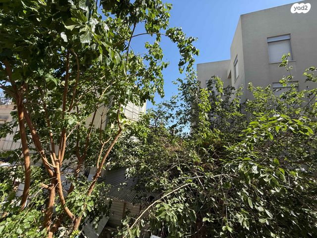 חכמי אתונה 2