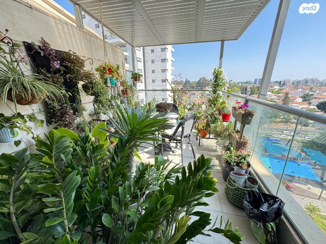 דירה, אושיות, רחובות